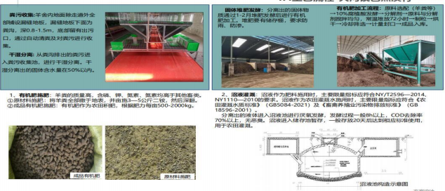 项目展示